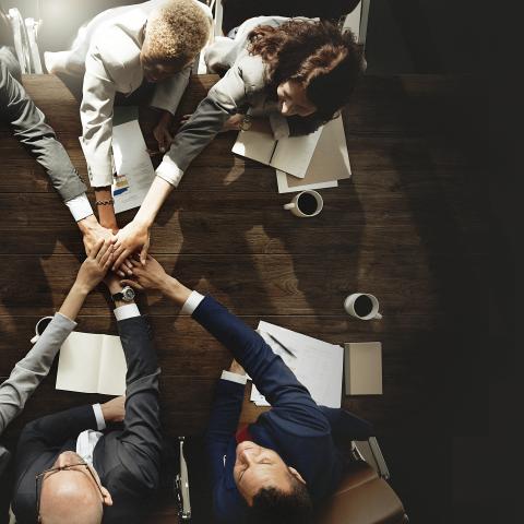 Building a High-Performing Team: Creating a Culture of Collaboration and Success